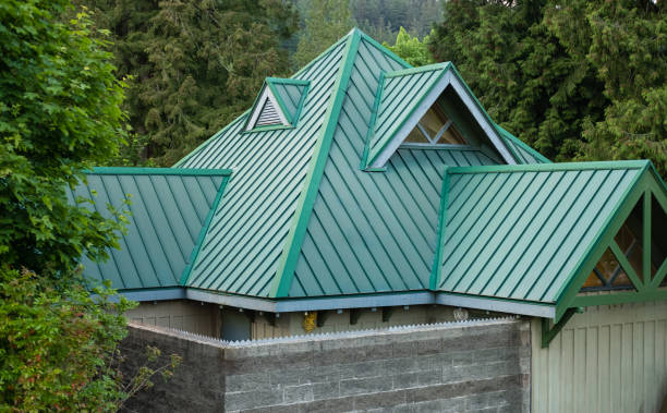 Best Skylight Installation and Repair  in Washington Park, FL