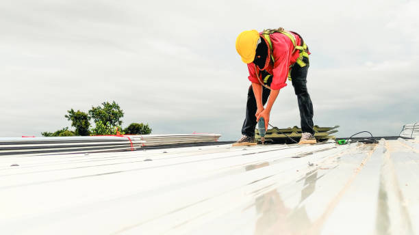 Best Sheet Metal Roofing  in Washington Park, FL