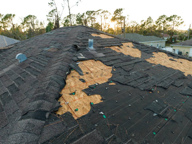 Best Roof Leak Repair  in Washington Park, FL