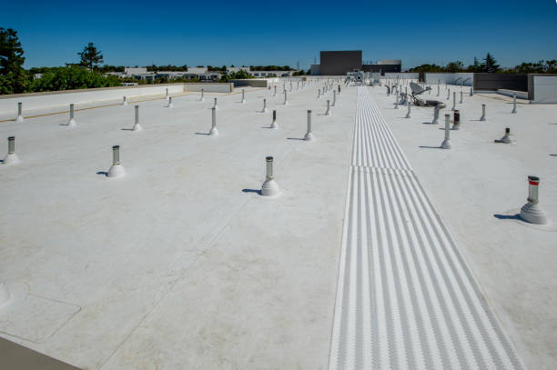 Best Slate Roofing  in Washington Park, FL